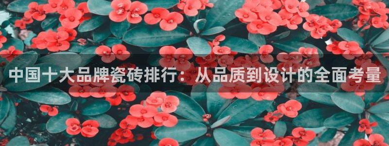 金年会足彩