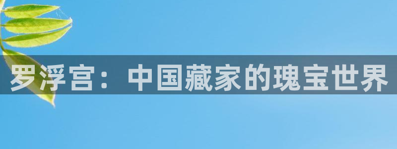 金年会体育平台在线登录：罗浮宫：中国藏家的瑰宝世界