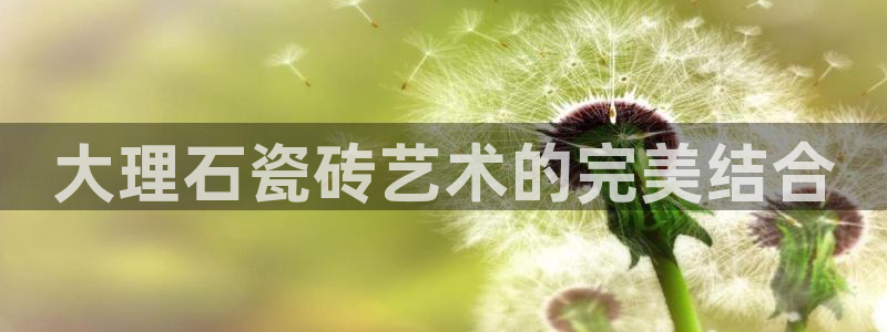 金年会APP黑钱