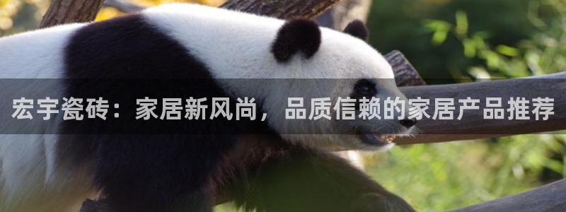 金年会是赌博的吗