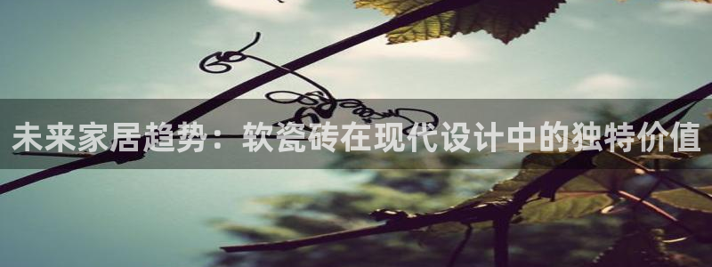 金诺利年会