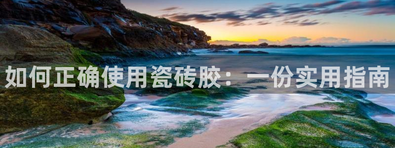 金年会体育平台