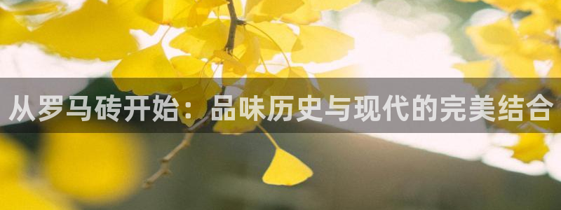 金年会app