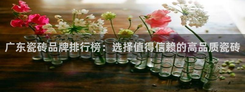 金哥年会