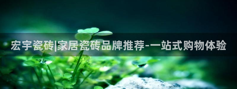 金年会APP安装下载