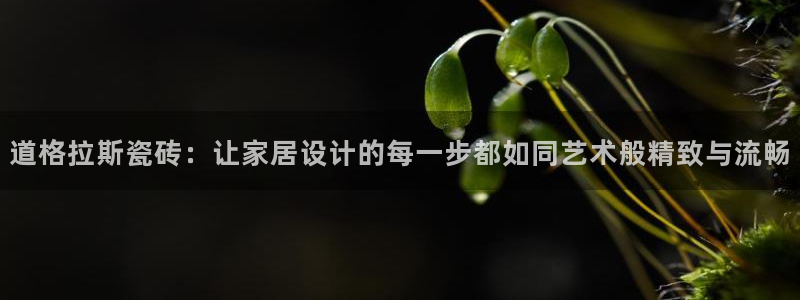 6766金年会