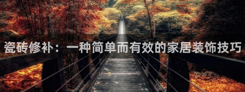 金年会介绍