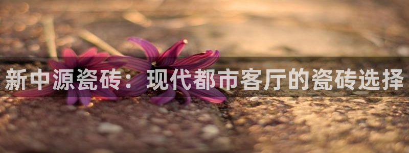 今金年会