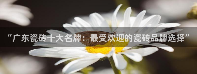 金年会安装