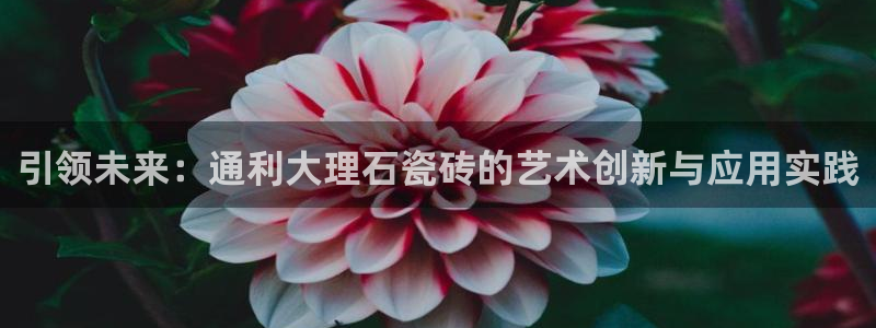 金年会体育官方下载