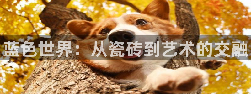 年会金
