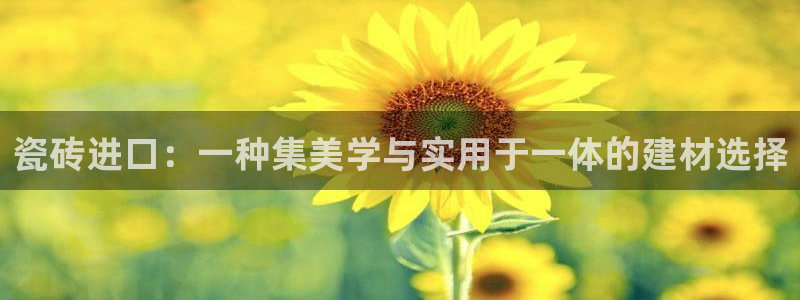 金雅陶瓷年会现场