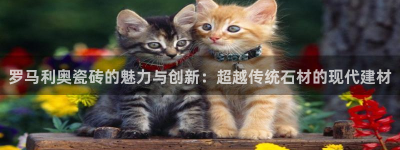 澳门娱乐金年会