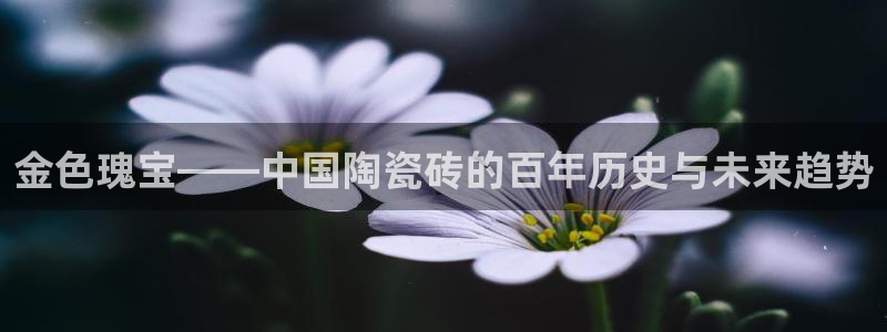 金年会和万博