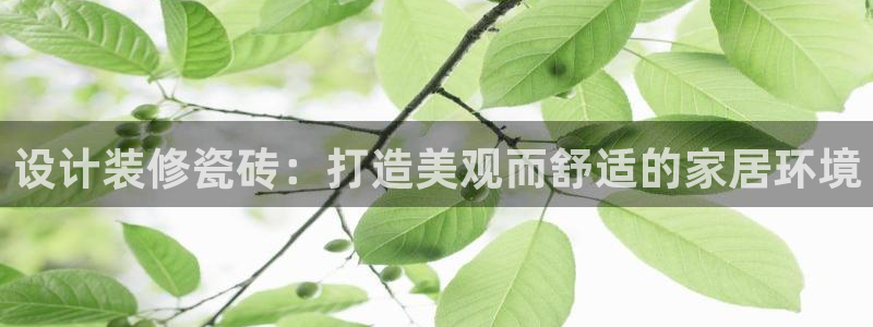 金年会体育下载