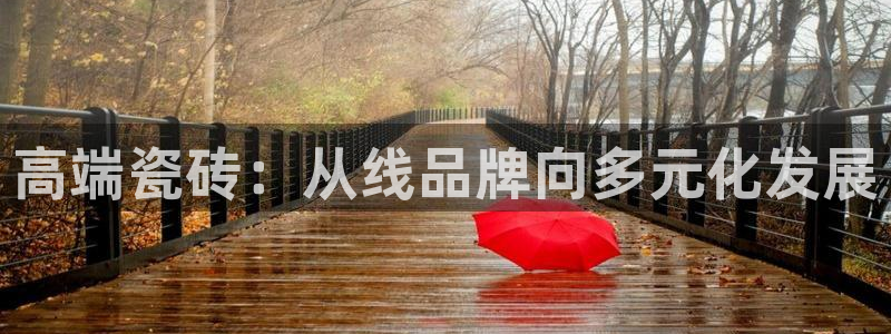 金金年会