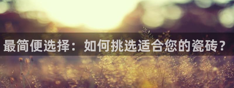 金年会软件在线下载