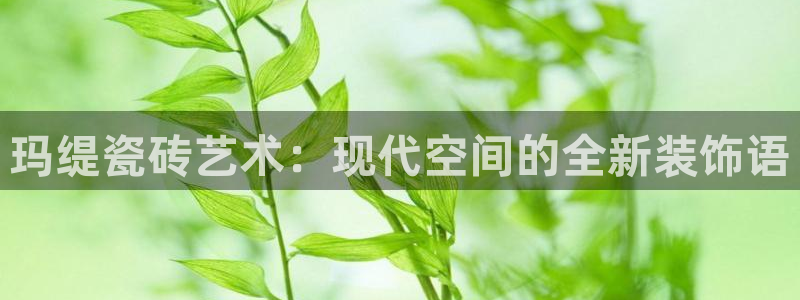 金年会提款慢