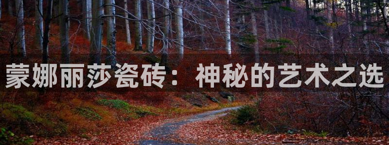 金年会最新官网