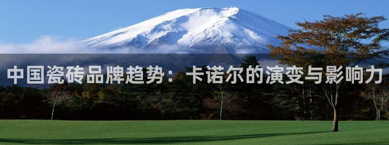 金靖年会