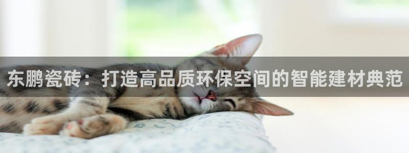 2022年金科年会