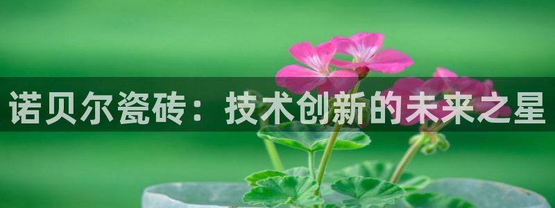 金年会体育在线登录