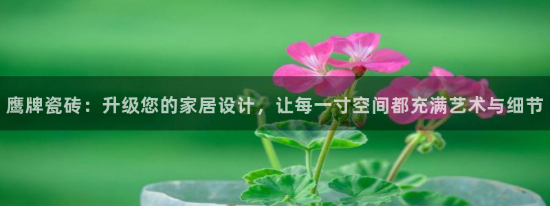 宝金年会