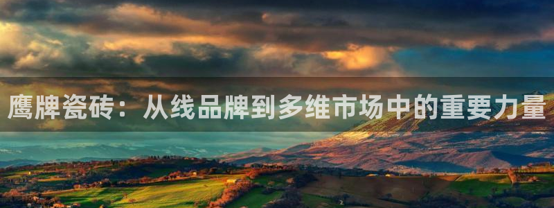 金年会提款慢