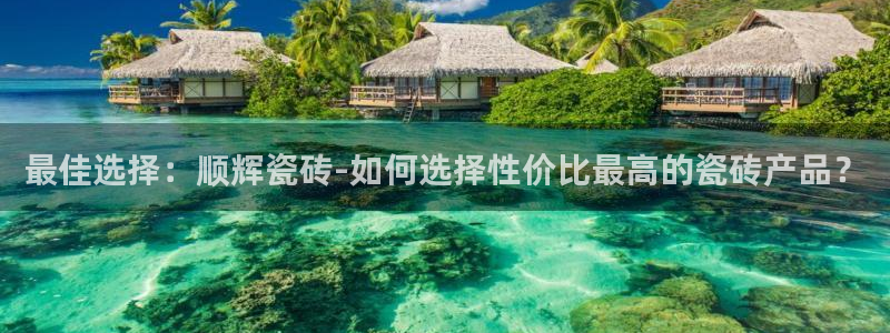 金年会金年华
