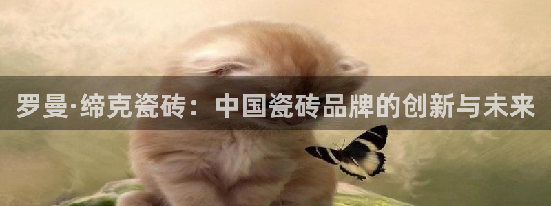 金科年会图片