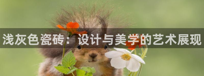 金 金年会