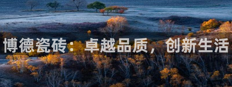 金年会体育平台在线登录