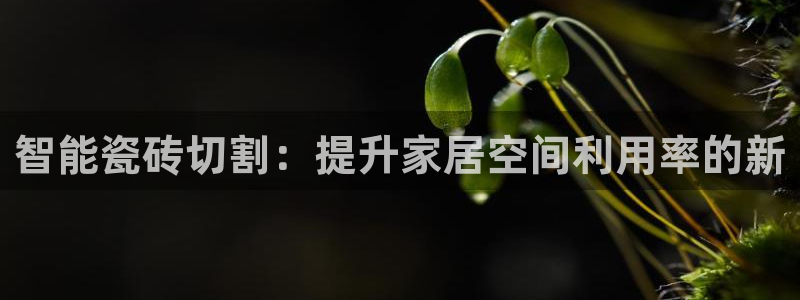 金年会彩票软件