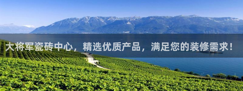 金联金年会
