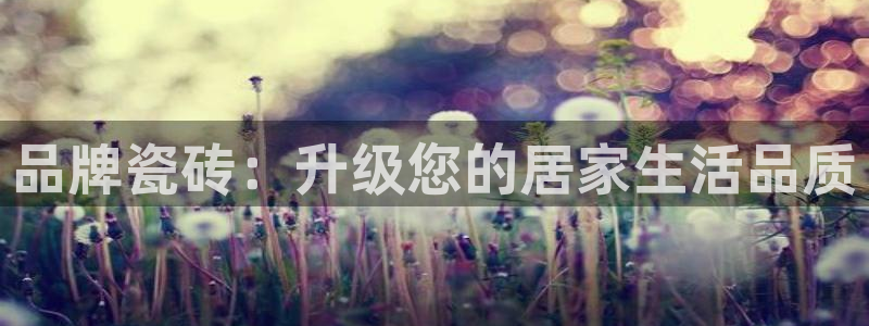 金年会平台是什么