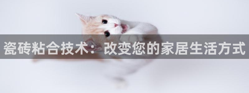 金年会体育官网