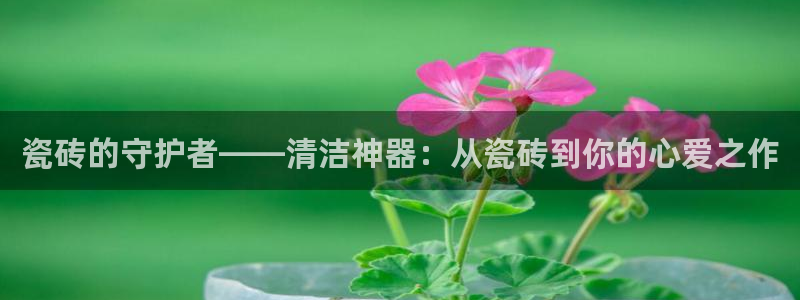 金年会提款慢