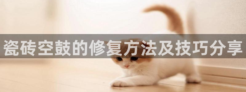 金年会是啥
