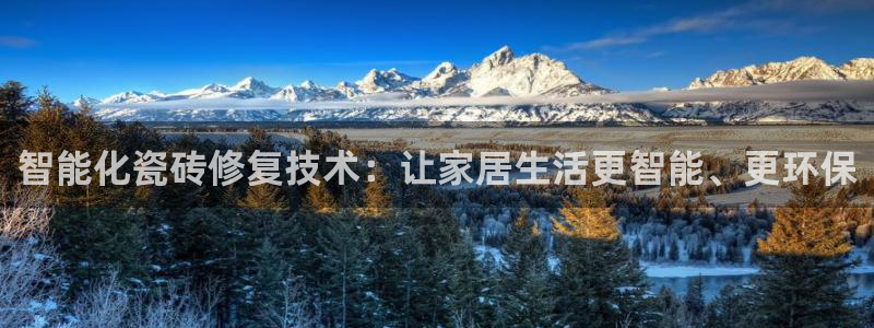 金年会网官网新版