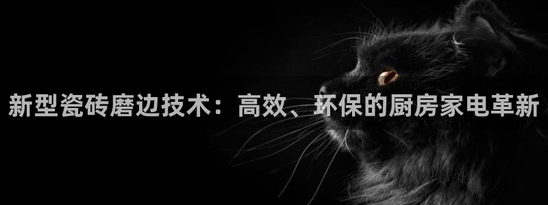 金年会是赌博的吗