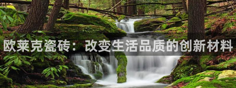 金年会体育官方网站