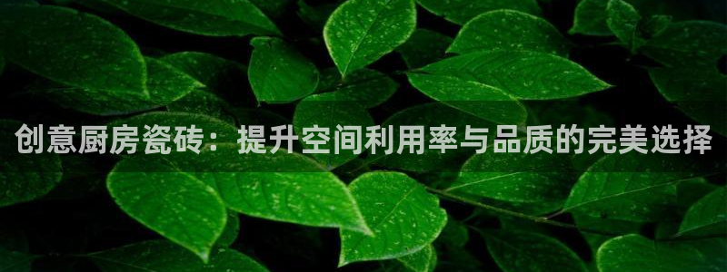 金年会金字招牌在线入口