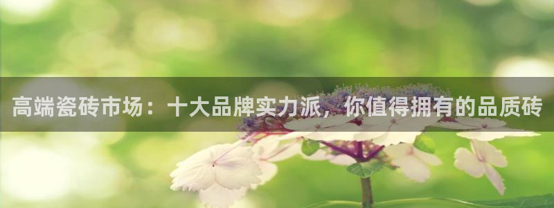 金年会金字招牌至上