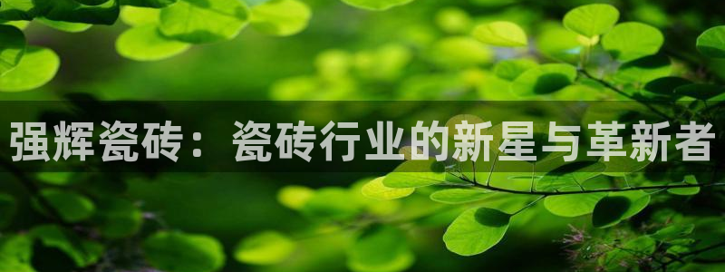 金年会体育官方下载