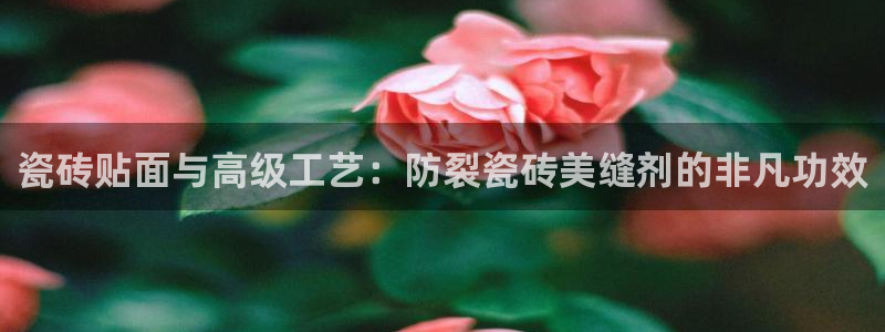 金年会体育官方网站入口