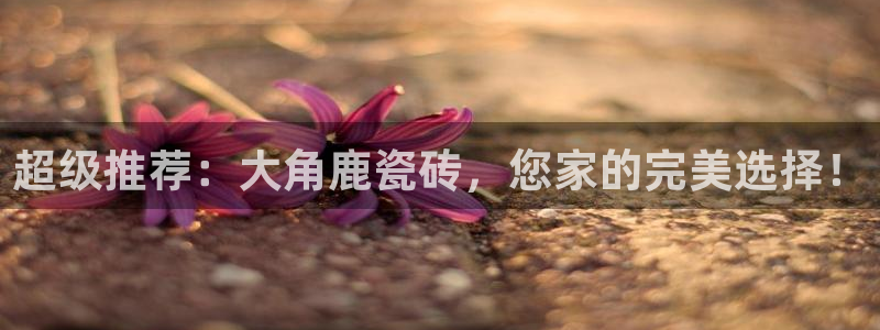 金年会体育官方