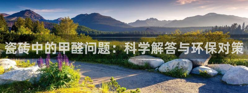 金年会平台包赔