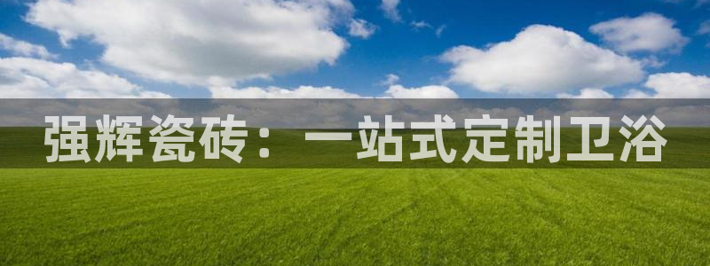 金年会软件之家下载