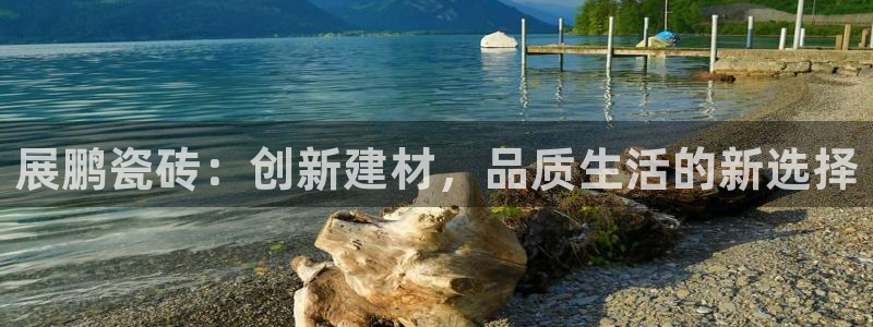 金年会体育平台官网