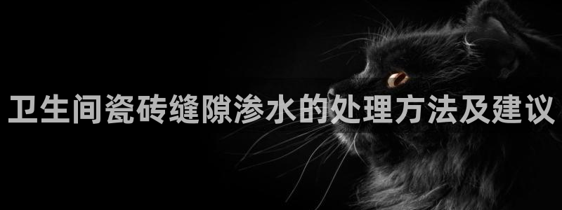 金年会最新下载